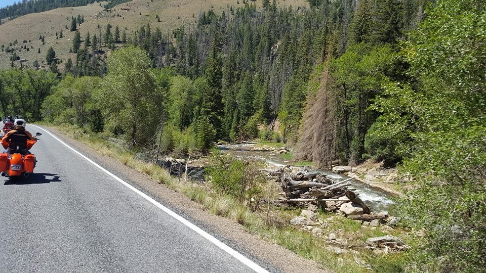 14040071_1405563109459092_2379933911413006193_n