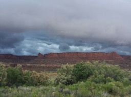 20160701_203755_resized