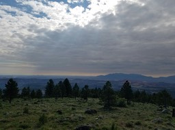 20160702_092523_resized