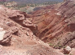 20160702_111209_resized_1