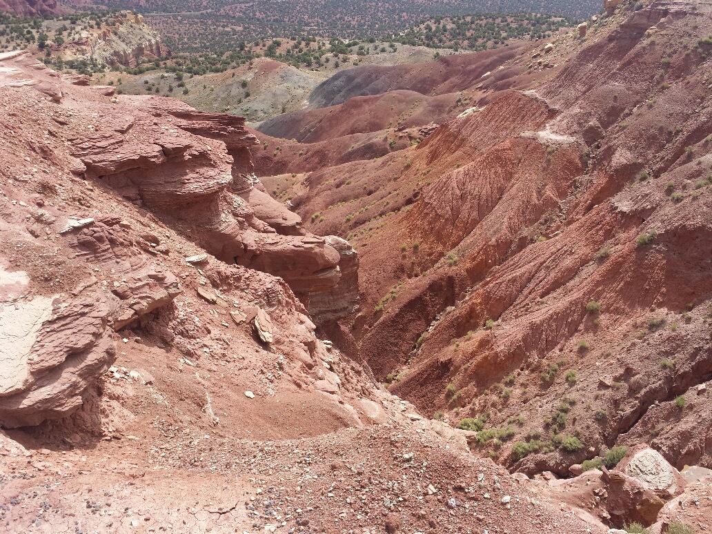 20160702_111209_resized_1