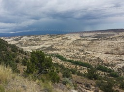 20160702_121225_resized_1