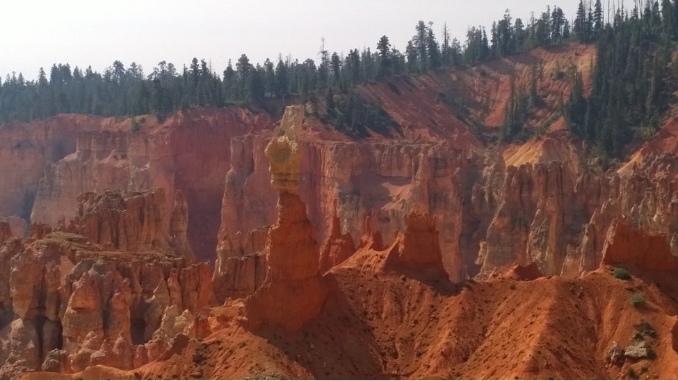 B05192BCA452446BB4CDE49C815EBFA4