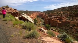 Burr trail overlook