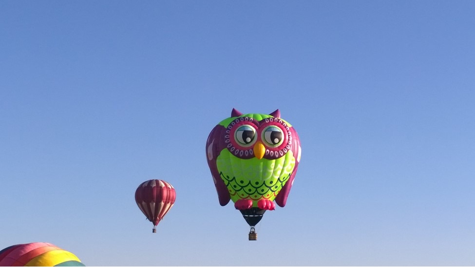 C51101F0F43F4599B5947634DB98DABC