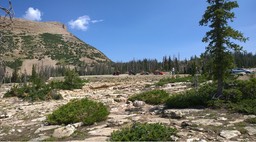 CBA412E1267F4DA2A47F3F21C19DECFB