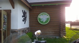 WP_20160803_19_31_19_Pro [199190]