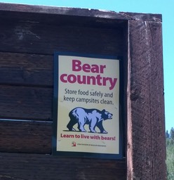 WP_20170715_006[5898]