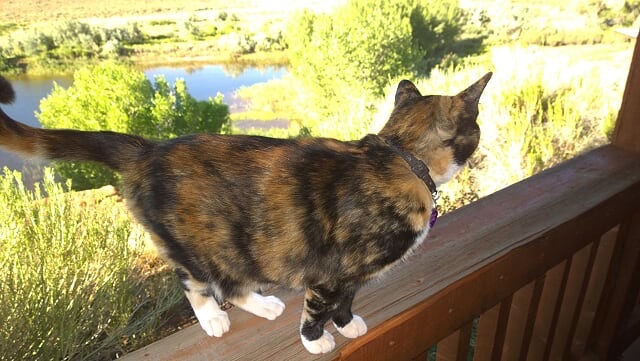 y3ml0jRtAgW-O4s5ZnBvyNnJCXP8bNbh67wBxPW0vCdRcuKPN-wlnsFOSXrUG-A4bUSM3Xt7ck5VSOw1d8VVXVGRx0WOLIjfLbTcI2MQ6ccXbyuOx70HE-f1DewhShdaTBmTc9X2OxouO7UG1nsAMRcZw